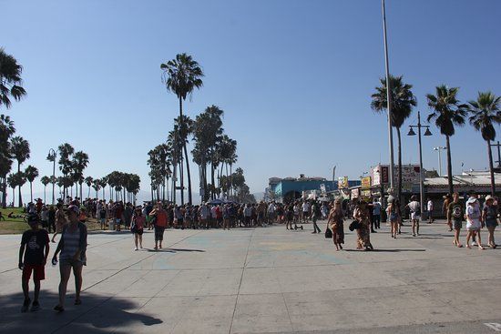 Venice Skate Park